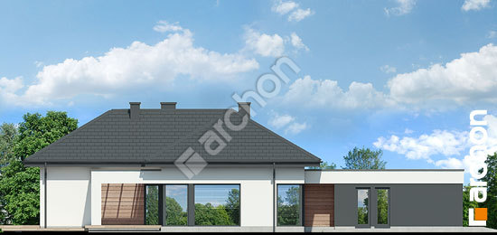 Бочний фасад Будинок в галантусах 2 (Г2)