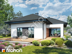 Проєкт будинку ARCHON+ Будинок в галантусах 2 (Г2) 