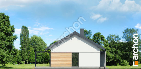 Бочний фасад Будинок в коручках 4 (Е) ВДЕ