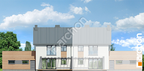 Дворовой фасад Дом в фиалках 4 (Р2Б) вер.2