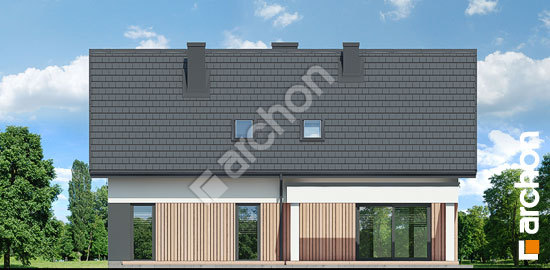 Дворовий фасад Будинок в фортунеях