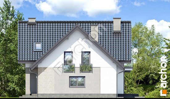 Бочний фасад Будинок в ліатрісах