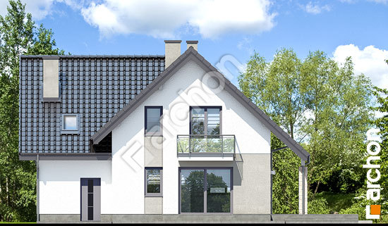 Дворовий фасад Будинок в ліатрісах