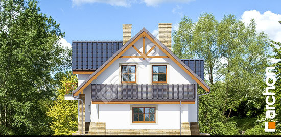 Бочний фасад Будинок в горошку 5