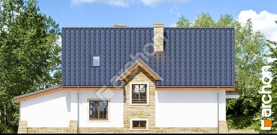 Дворовий фасад Будинок в горошку 5