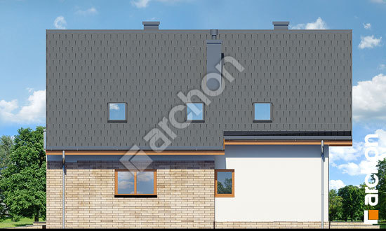 Боковой фасад Дом в тимьяне 8