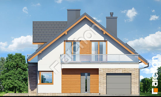 Передний фасад Дом в тимьяне 8