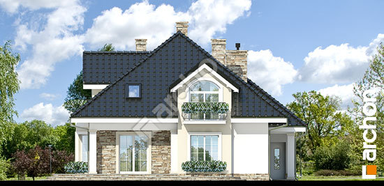 Дворовий фасад Будинок в кокосах вер. 2