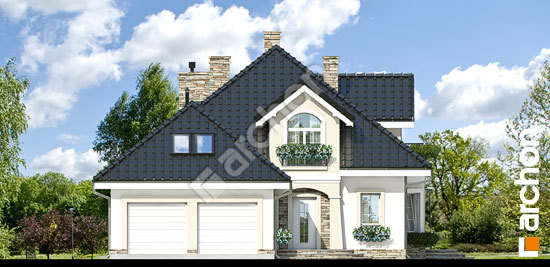 Передній фасад Будинок в кокосах вер. 2