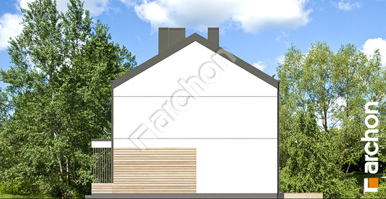 Боковой фасад Дом в аркадиях 4