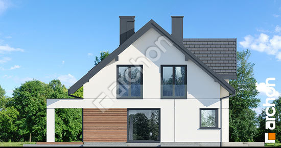 Бочний фасад Будинок в комміфорах 2 (П)