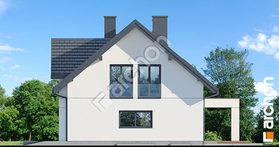 Боковой фасад Дом в коммифорах 2 (П)