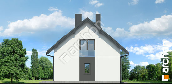 Боковой фасад Дом в шишковиках 5