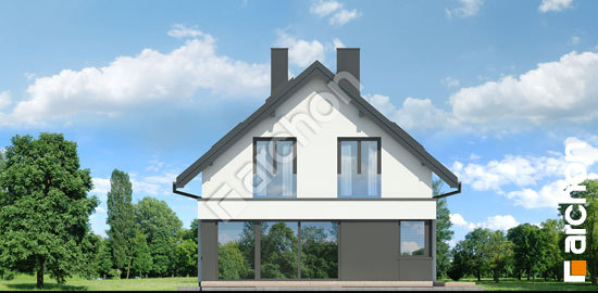 Боковой фасад Дом в шишковиках 5