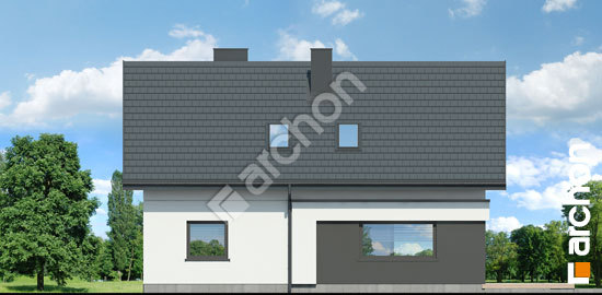 Дворовой фасад Дом в шишковиках 5