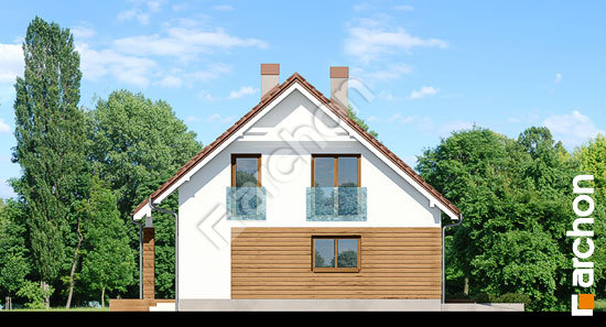 Бочний фасад Будинок в яблонках 6