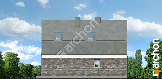 Бочний фасад Будинок під платанами (Б)