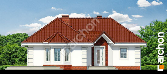 Передний фасад Дом в пустырнике вер.2