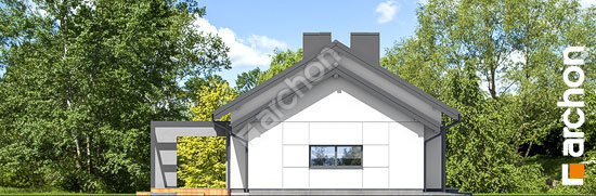 Боковой фасад Дом в базилике 2 (Г)