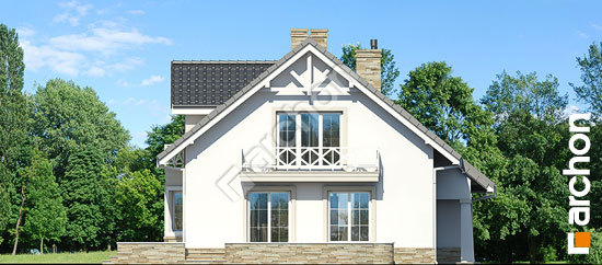 Дворовой фасад Дом в кокосах 2 вер.2