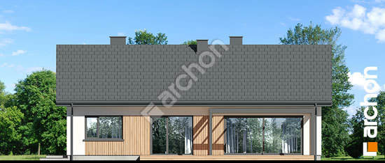 Дворовий фасад Будинок під червоною горобиною 25