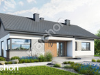 Проєкт будинку ARCHON+ Будинок під червоною горобиною 25 додаткова візуалізація