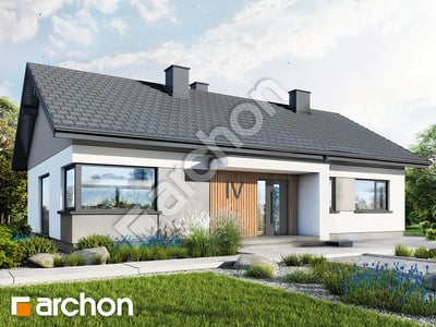 Проєкт будинку ARCHON+ Будинок під червоною горобиною 25 