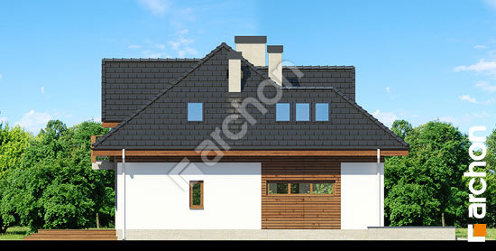 Боковой фасад Дом в каллатеях 5 Termo вер.2