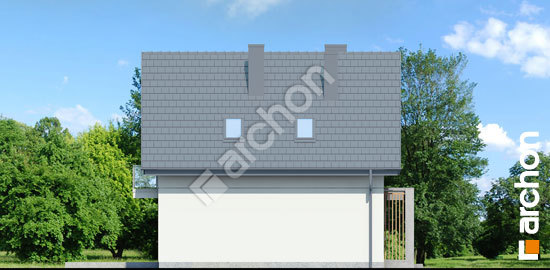 Бочний фасад Будинок в олеандрах вер.2