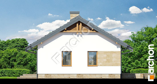 Боковой фасад Дом под папайей 2 вер.2