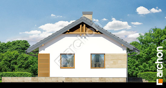 Боковой фасад Дом под папайей 2 вер.2