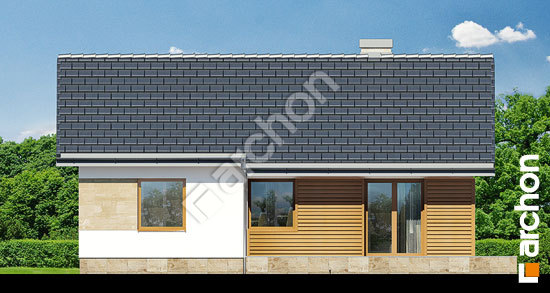 Дворовий фасад Будинок під папаєю 2 вер. 2