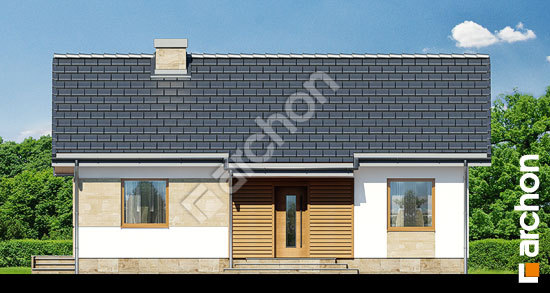 Передній фасад Будинок під папаєю 2 вер. 2