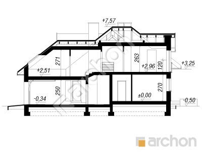 Проект дома ARCHON+ Дом в камелиях (Г2H) вер.2 Розріз будинку