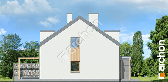 Бочний фасад Будинок в клематисах 20 (Р2Н) вер. 2