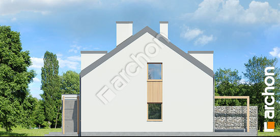 Боковой фасад Дом в клематисах 20 (Р2Н) вер. 2