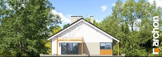 Бочний фасад Будинок в мекінтошах 3