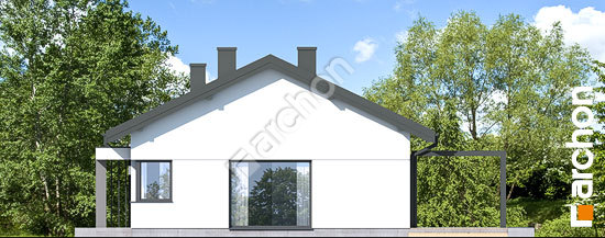 Бочний фасад Будинок в нарахнілах 6