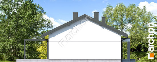 Боковой фасад Дом в наранхиле 6