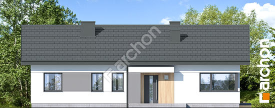 Передній фасад Будинок в нарахнілах 6