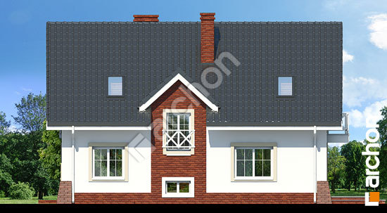 Дворовой фасад Дом в горошке 4 вер.2