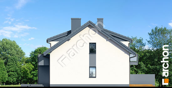 Бочний фасад Будинок в клематисах 20 (БТА) вер. 2        