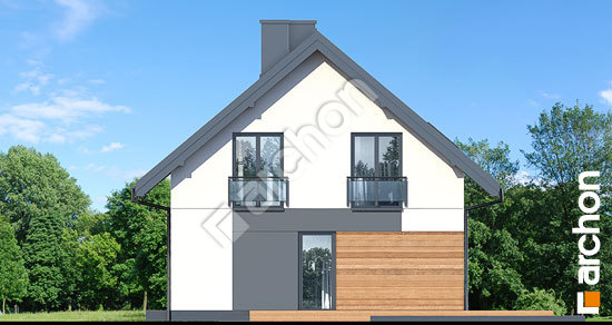 Боковой фасад Дом в малиновках 11 (П)