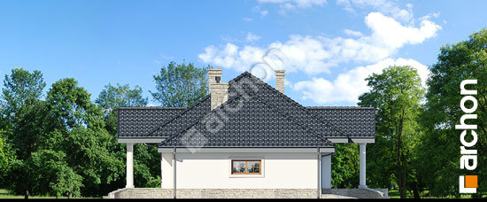 Бочний фасад Будинок в гаурах 6 (Г2)