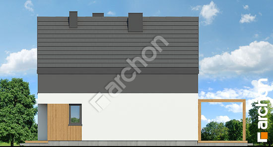 Боковой фасад Дом в куркуме 3