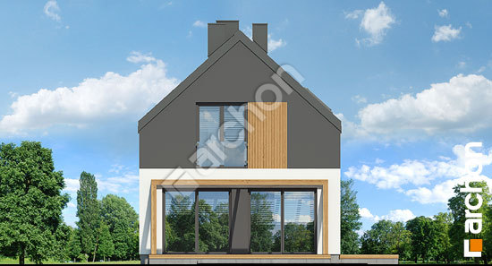 Дворовой фасад Дом в куркуме 3