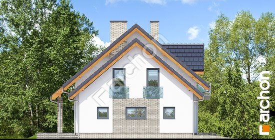 Бочний фасад Будинок в червоних кущах