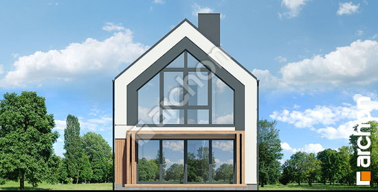 Дворовий фасад Будинок в голокупнику 4