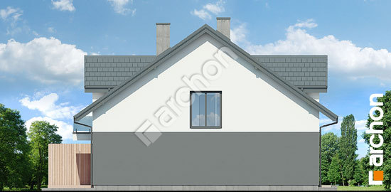 Боковой фасад Дом под гинко 19 (ГБ)