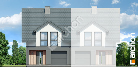 Передній фасад Будинок під гінко 19 (ГБ)